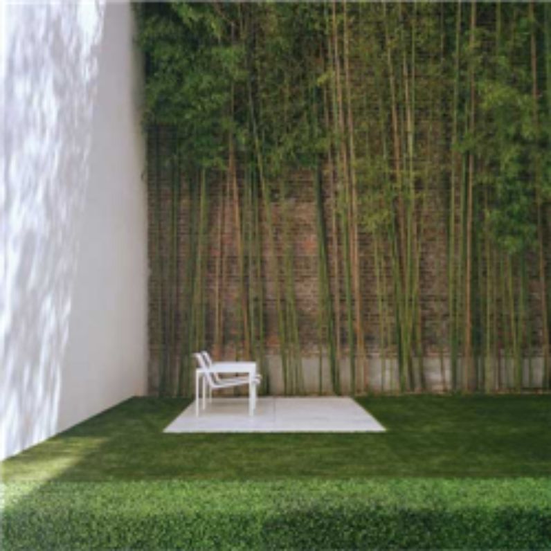 Thiết kế sân vườn đẹp với thảm thực vật xanh